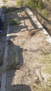 Via Siepe Nuova, rimozione rifiuti