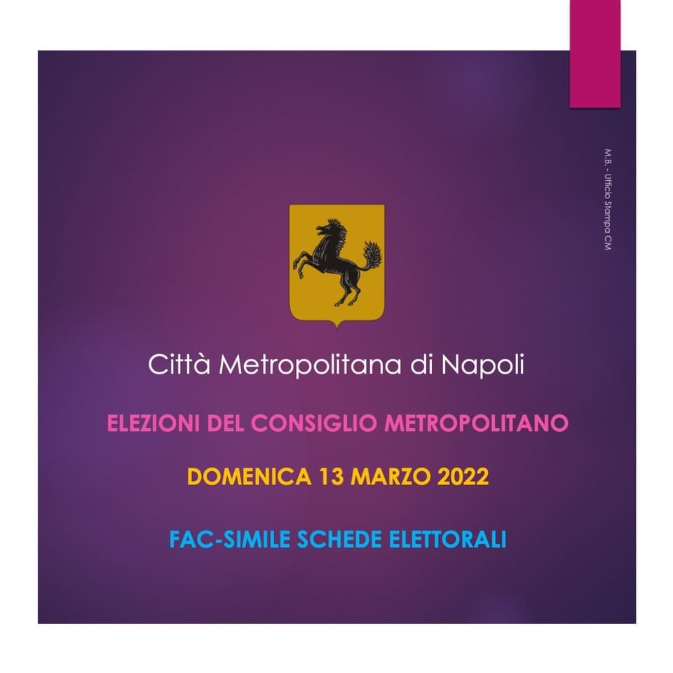 Elezioni città metropolitana,domenica 13 marzo si vota