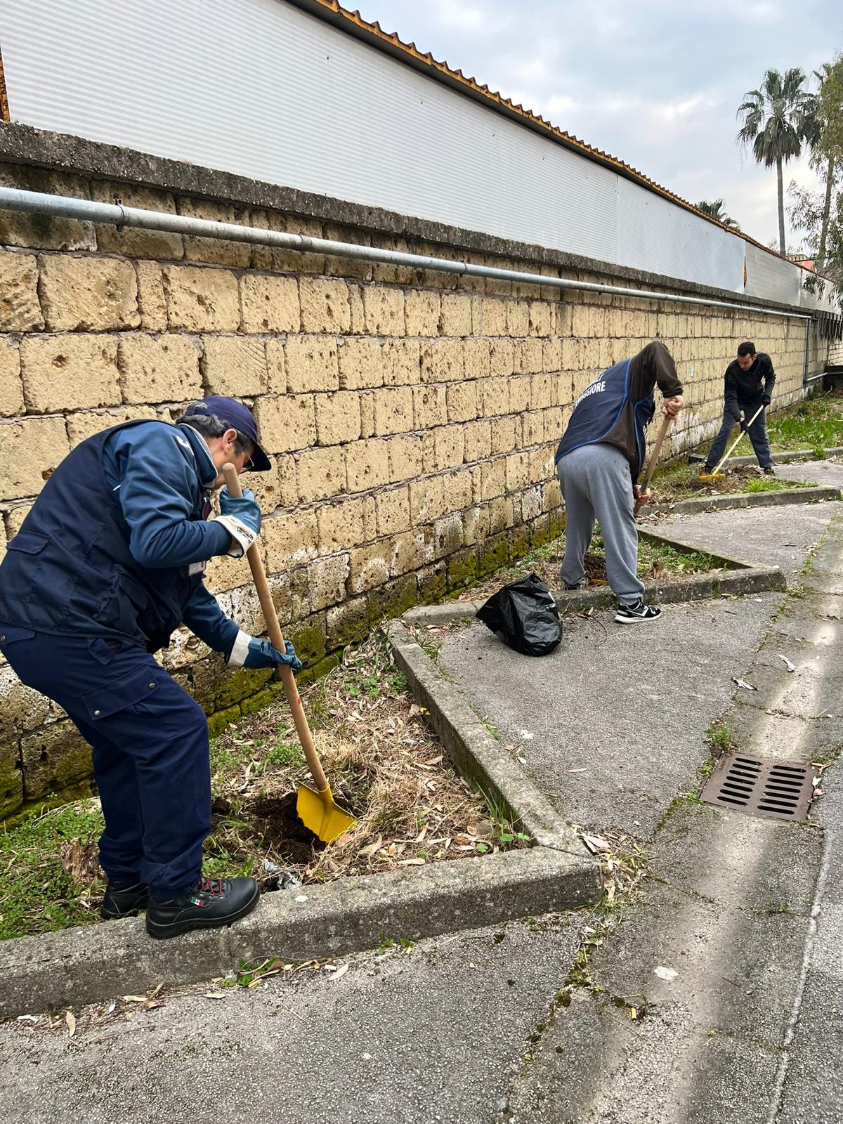 Gea Frattamaggiore piantumano alberelli nelle scuole comunali