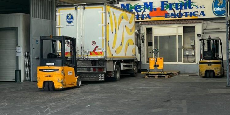 L’ECCELLENZA. Frattamaggiore, fari puntati sulla “M. e M. Fruit”, da 25 anni azienda leader nazionale nel settore del commercio della frutta esotica e nostrana