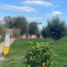 Casoria, doppio raid al cantiere del Parco Michelangelo