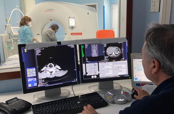 LA SVOLTA. L’intelligenza artificiale aiuta i medici a valutare se operare il tumore al pancreas: presentato il percorso sperimentale del Cardarelli e del Dipartimento di Informatica della Federico II