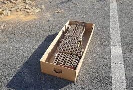 Ercolano, un mix di droga e fuochi d’artificio, zio e nipote in manette