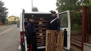 Casoria , presi ladri di pedane in legno