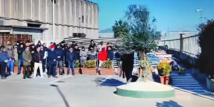 IL RICORDO. A Caivano piantato un ulivo in memoria di Antonio Golino, il 22enne morto in un incidente sul lavoro