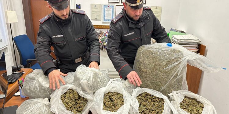 Castellamare di Stabia , operazione antidroga