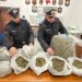 Castellamare di Stabia , operazione antidroga