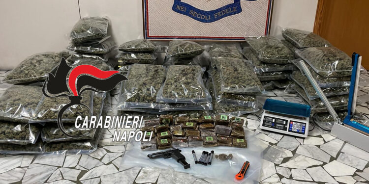 Arpino di Casoria , 60 kg di droga nel frigo