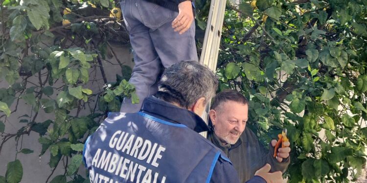 Frattamaggiore, collaborazione tra le Guardie Ambientali e il Liceo Durante