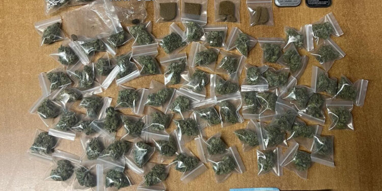 Casoria , carabinieri arrestano un pusher ad un controllo della viabilità