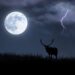 In arrivo la luna del Cervo