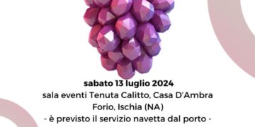 Forio d’Ischia, Dss per Viticoltura sostenibile