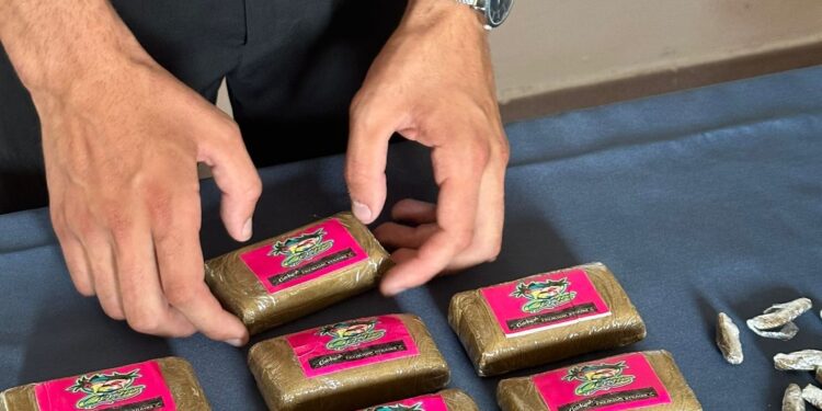 Torre del Greco: Hashish in pescheria