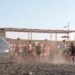 Ercolano , rissa in spiaggia denunciati tre minorenni