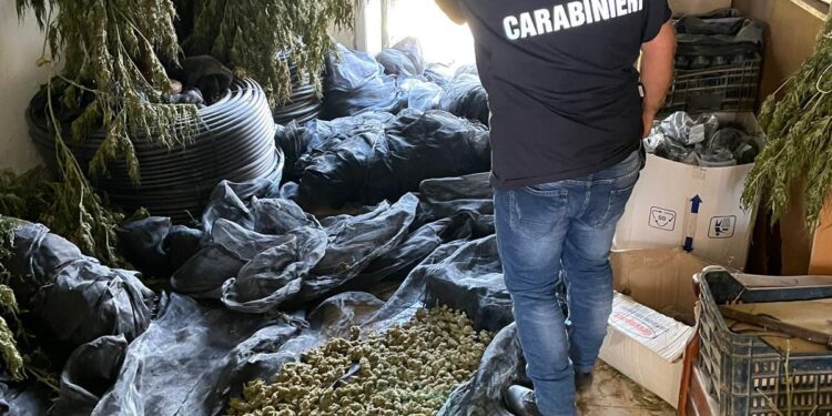 Giugliano in Campania e Sparanise, arresti per droga e munizioni