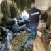 Giugliano in Campania e Sparanise, arresti per droga e munizioni