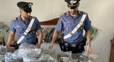 Giugliano, sequestro di 1,5 kg di droga in via Masseriola