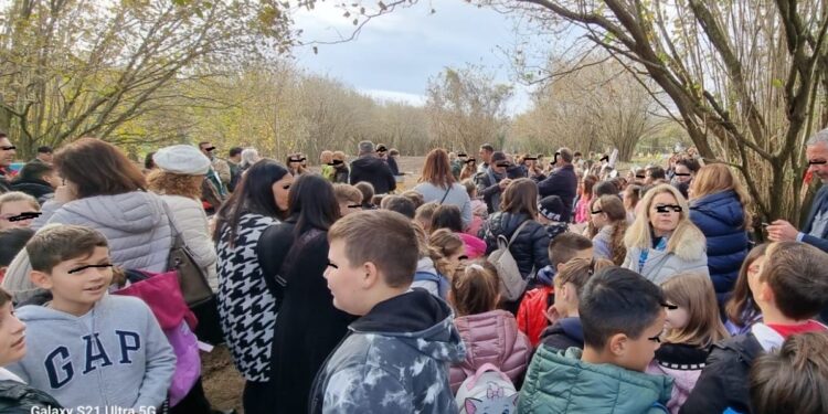 L’EVENTO. “Giornata nazionale dell’Albero”: a Monteruscello in campo Confagricoltura e scuole