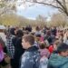 L’EVENTO. “Giornata nazionale dell’Albero”: a Monteruscello in campo Confagricoltura e scuole
