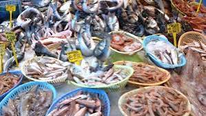 Sorrento, 600 kg di pesce rubato, il cenone si avvicina