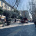 Vomero , in Via Luca Giordano sfiorata la tragedia