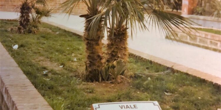 Napoli: Trafugata la targa del viale in memoria di John Lennon