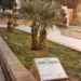 Napoli: Trafugata la targa del viale in memoria di John Lennon