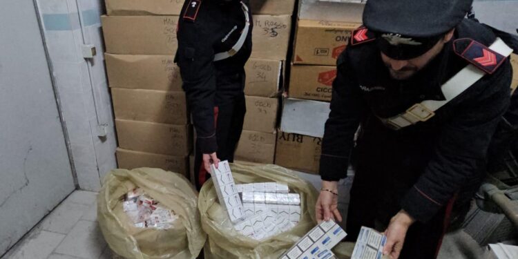 Massa di Somma: 600kg di sognare di contrabbando in due casolari, arrestati una coppia