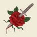 Sant’Antimo: In una mano una rosa , nell’altra un coltello, pakistano minaccia una sua ex collega di lavoro
