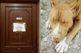 Acerra: Nuovi rilievi della scientifica per risolvere il mistero della morte della piccola Giulia