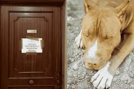 Acerra: Nuovi rilievi della scientifica per risolvere il mistero della morte della piccola Giulia