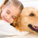 Cosa è la pet therapy, e i suoi effetti benefici