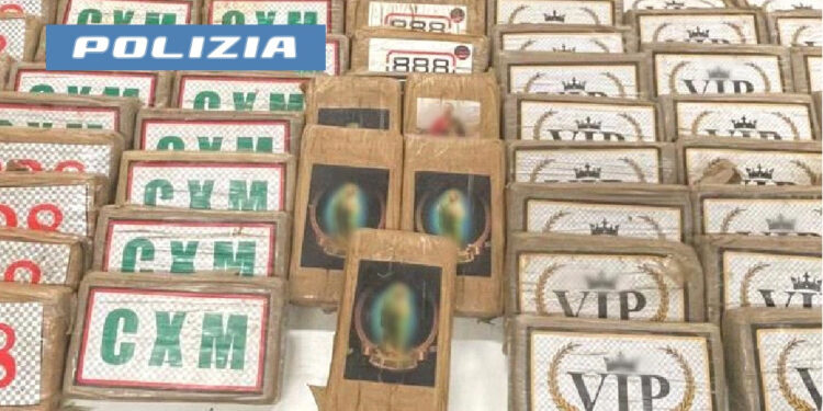 Pomiglianod’Arco: Uscita autostrada bloccato camper con 70kg di cocaina