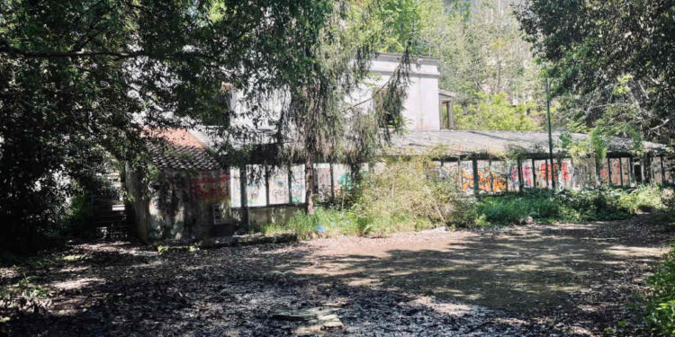 Villa Floridiana, pronto il bando per il ristorante all’interno del parco