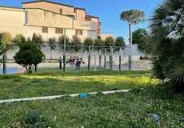 Frattamaggiore: Approvato in consiglio comunale, Regolamento per la tutela del verde urbano