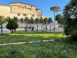 Frattamaggiore: Approvato in consiglio comunale, Regolamento per la tutela del verde urbano