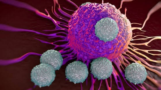 Nuova terapia anticancro che uccide le cellule tumorali