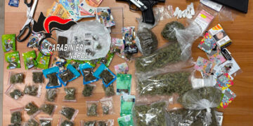Agnato: Droga nelle campagne custodita da pusher incensurato