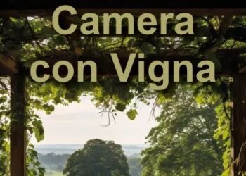 L’EVENTO. La Fondazione Orizzonti presenta il libro “Camera con Vigna” di Vincenzo D’Antonio