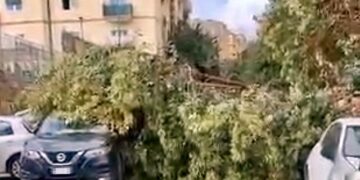 Vomero: A pochi passi dal Santobono in pieno giorno si schianta un albero