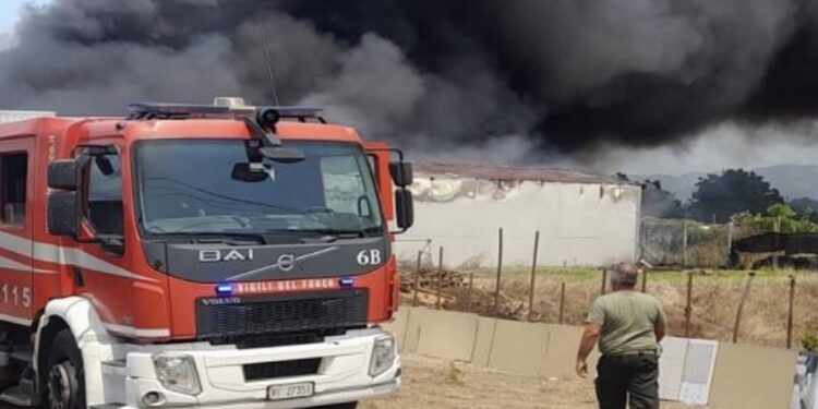 Pompei: Arrestato l’autore dell’incendio del 6 agosto 2025