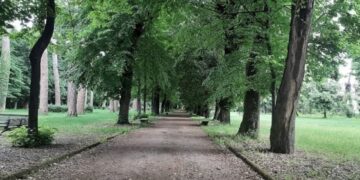 Caserta: Partito censimento delle aree verdi date in gestione
