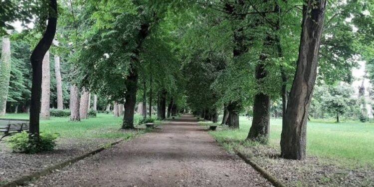 Caserta: Partito censimento delle aree verdi date in gestione