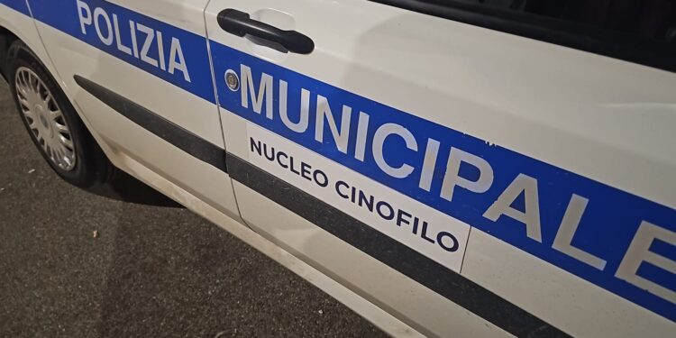 Frattamaggiore: Controlli alla Movida, la Polizia municipale ricorre alle unità cinofile