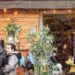 Afragola: Arriva il Sant’Antonio Summer fest , due giorni di eventi