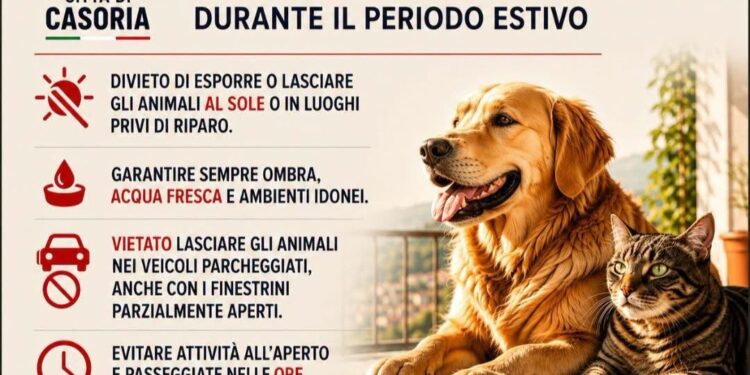 Casoria : Ordinanza del Sindaco Bene per la tutela degli animali periodo estivo