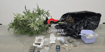 Santa Maria la Carità: Fermato pusher con droga e pollice verde