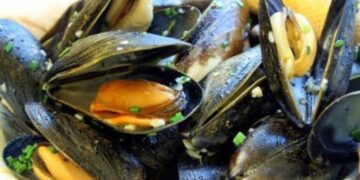 Frattamaggiore: Il Sindaco Casabella revoca l’ordinanza di servire frutti di mare crudi