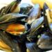 Frattamaggiore: Il Sindaco Casabella revoca l’ordinanza di servire frutti di mare crudi