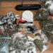 Napoli: Controlli anti droga ai concerti, due arresti